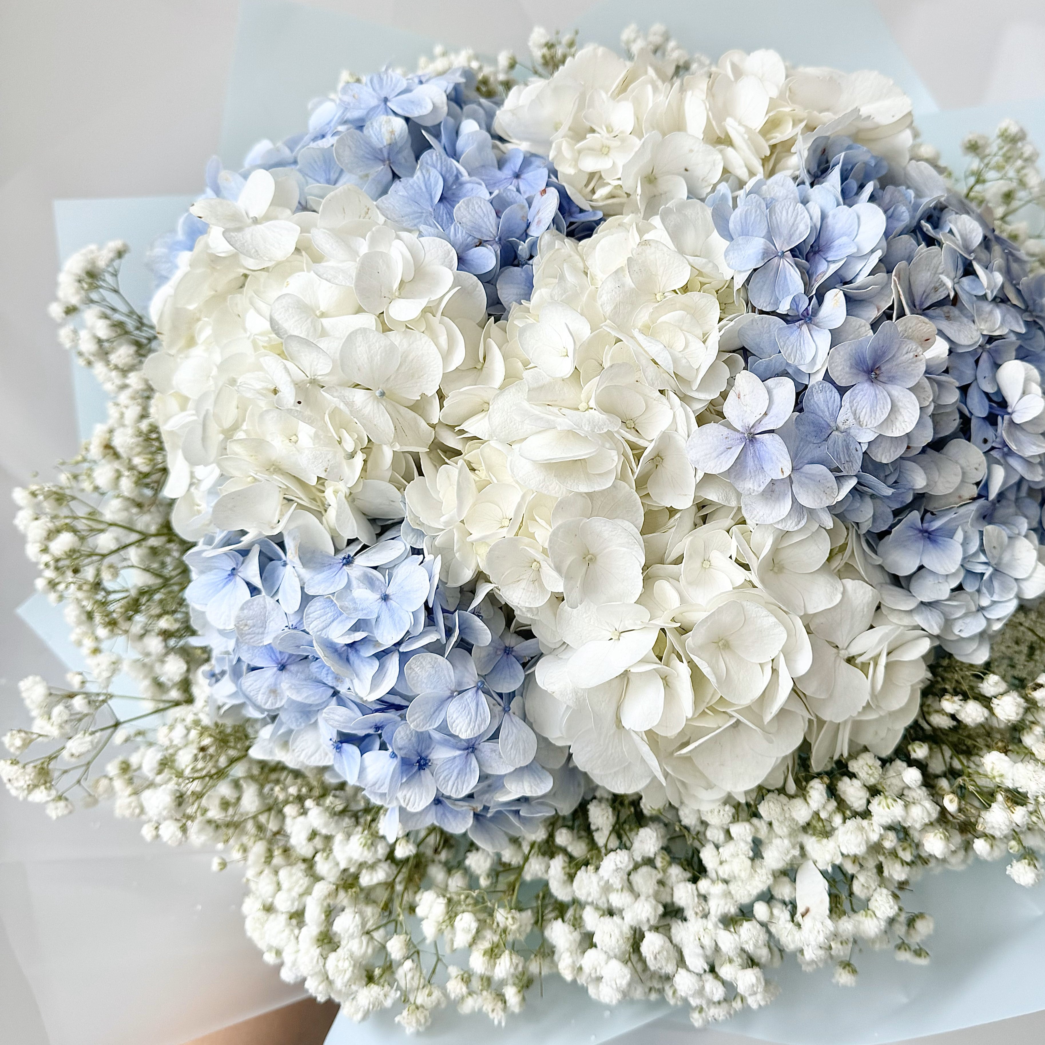 Heavenly Hydrangeas